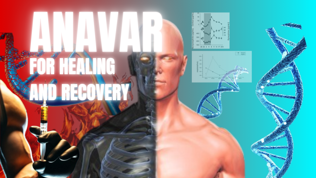 Is ANAVAR a Game Changer for Injury Recovery? Detailed&nbsp;Breakdown